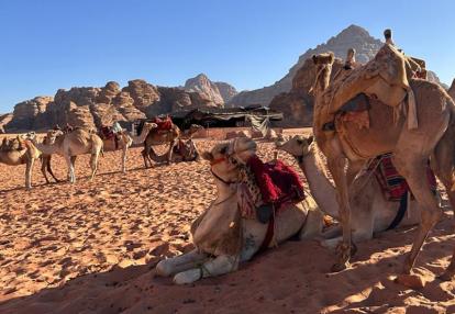 Voyage en Jordanie de Dominique R-B.