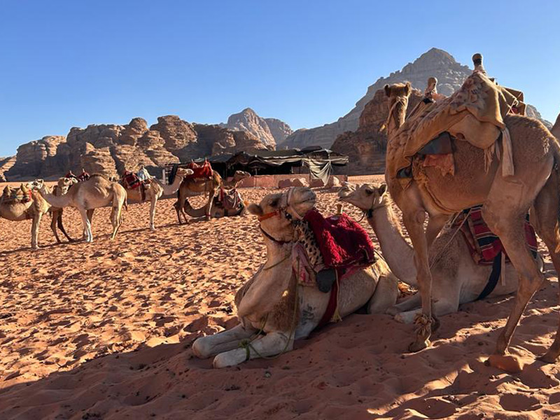 Wadi Rum Voyage en Jordanie de Dominique R-B.