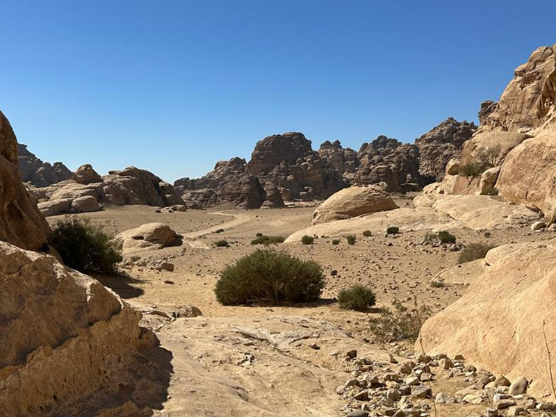 Wadi Rum Voyage en Jordanie de Dominique R-B.