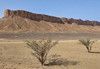 Voyage au Maroc de François D.
