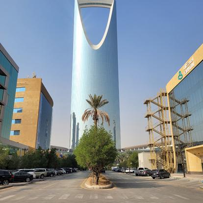 Voyage en Arabie Saoudite d'Annie T.