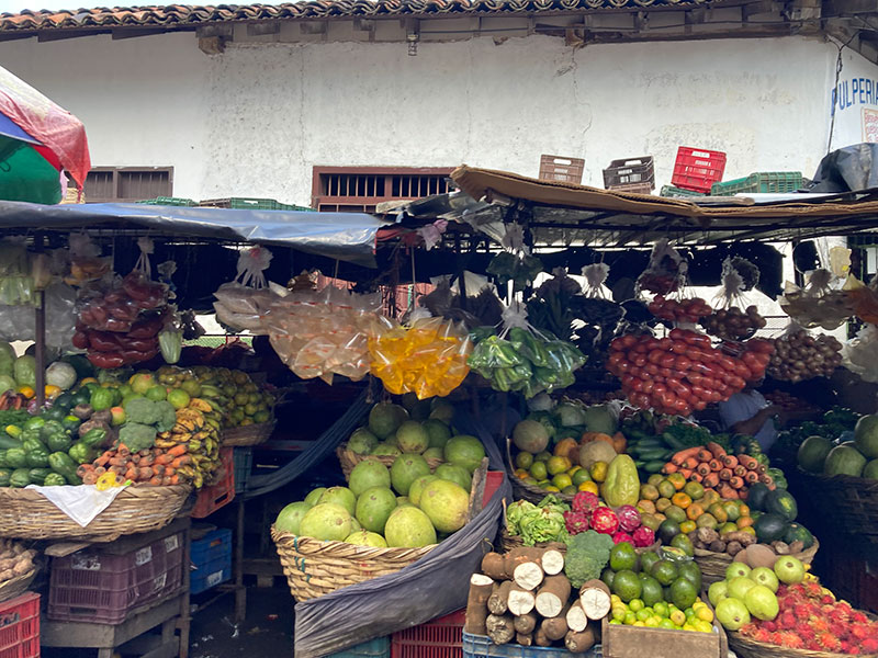 Voyage au Nicaragua de Magalie S.