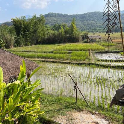 Voyage au Laos de Fabienne B.