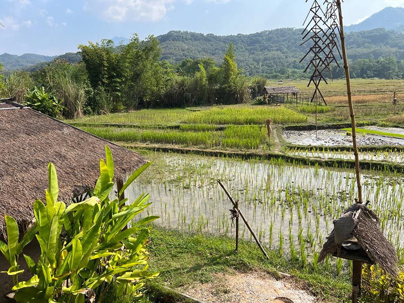 Voyage au Laos de Fabienne B.