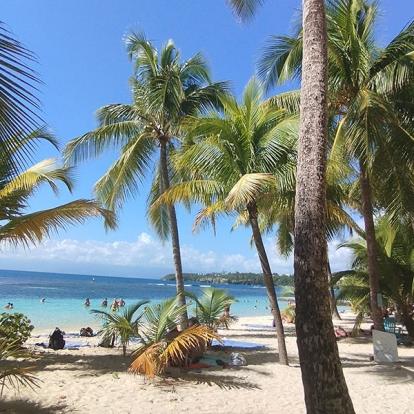 Voyage en Guadeloupe de Béatrice M.