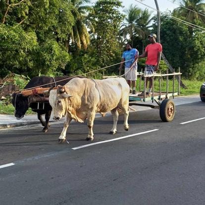 Voyage en Guadeloupe de Béatrice M.