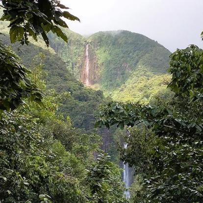 Voyage en Guadeloupe de Béatrice M.