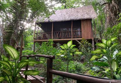 Hébergement dans la jungle extraordinaire Voyage au Belize de Chantal L.