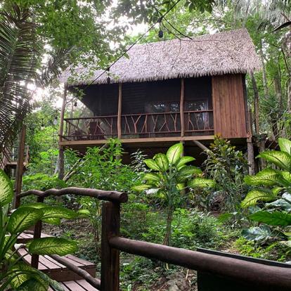 Hébergement Dans La Jungle Extraordinaire Voyage au Belize de Chantal L.