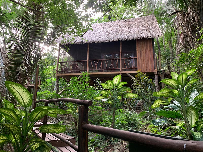 Hébergement dans la jungle extraordinaire Voyage au Belize de Chantal L.