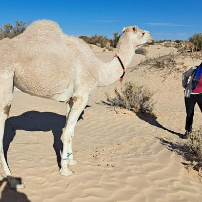 Voyage en Tunisie de Gaëlle B.