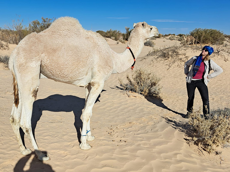 Voyage en Tunisie de Gaëlle B.
