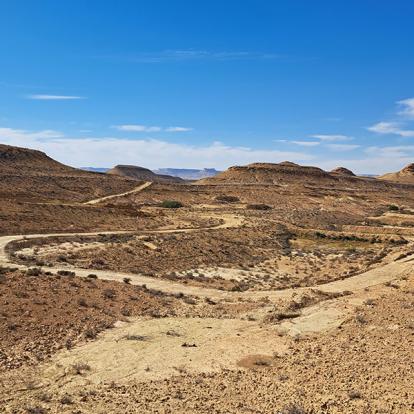 Voyage en Tunisie de Gaëlle B.