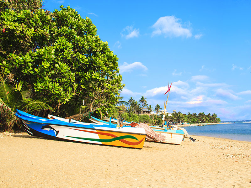 Voyage au Sri Lanka de Catherine C.