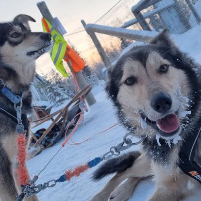 Voyage en Finlande de Michel S.