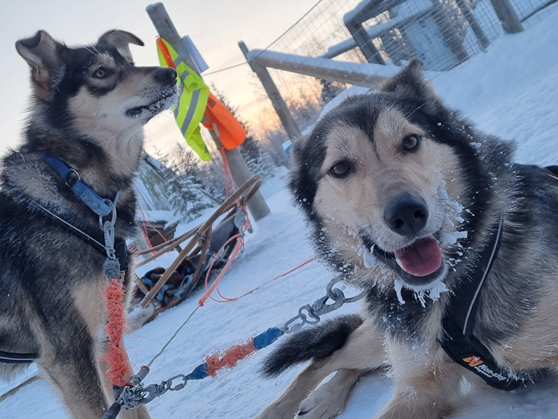 Voyage en Finlande de Michel S.