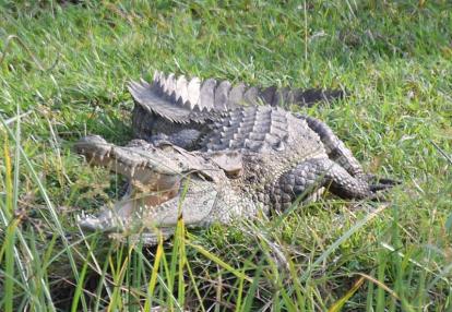 Voyage au Sri Lanka de Pascal  & Jean Bernard Voyage au Sri Lanka de Pascal M. & Jean Bernard L.
