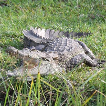 Voyage au Sri Lanka de Pascal M. & Jean Bernard L.