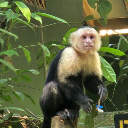 Voyage au Costa Rica de Jean D.