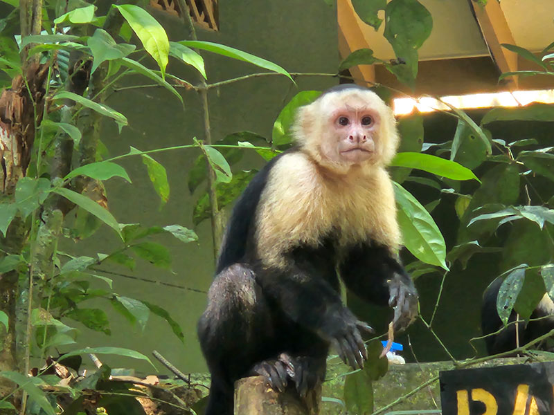 Voyage au Costa Rica de Jean D.