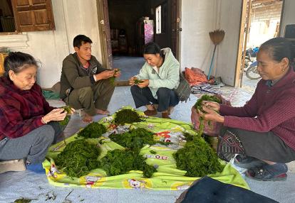 Voyage au Laos de Véronique et Stéphane