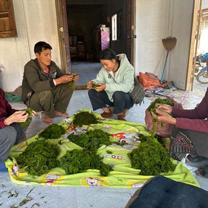 Voyage au Laos de Véronique et Stéphane
