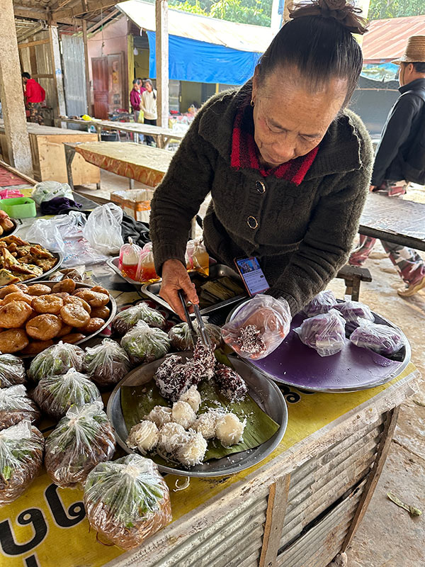 Voyage au Laos de Véronique et Stéphane