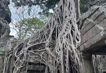 Voyage au Vietnam & Cambodge Voyage au Vietnam & Cambodge de Véronique et Stéphane