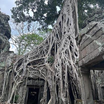 Voyage au Vietnam & Cambodge de Véronique et Stéphane