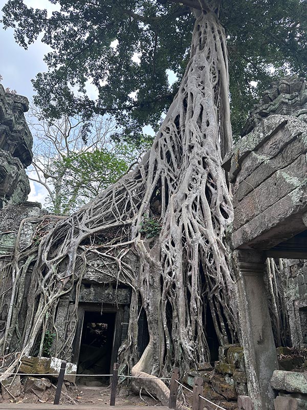 Voyage au Vietnam & Cambodge de Véronique et Stéphane