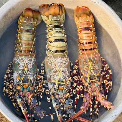 Voyage au Vietnam & Cambodge de Véronique et Stéphane