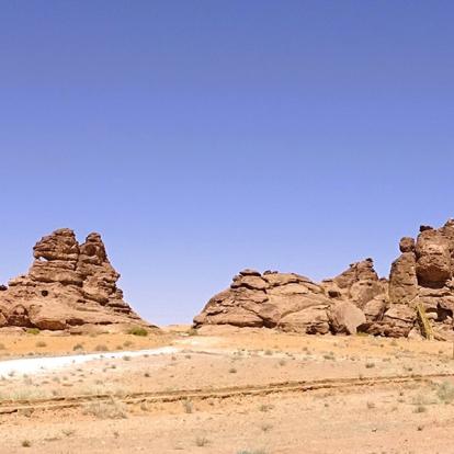 Voyage en Arabie Saoudite de Monique S.