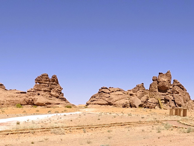Voyage en Arabie Saoudite de Monique S.