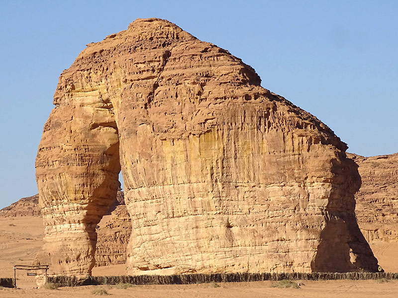 Voyage en Arabie Saoudite de Monique S.