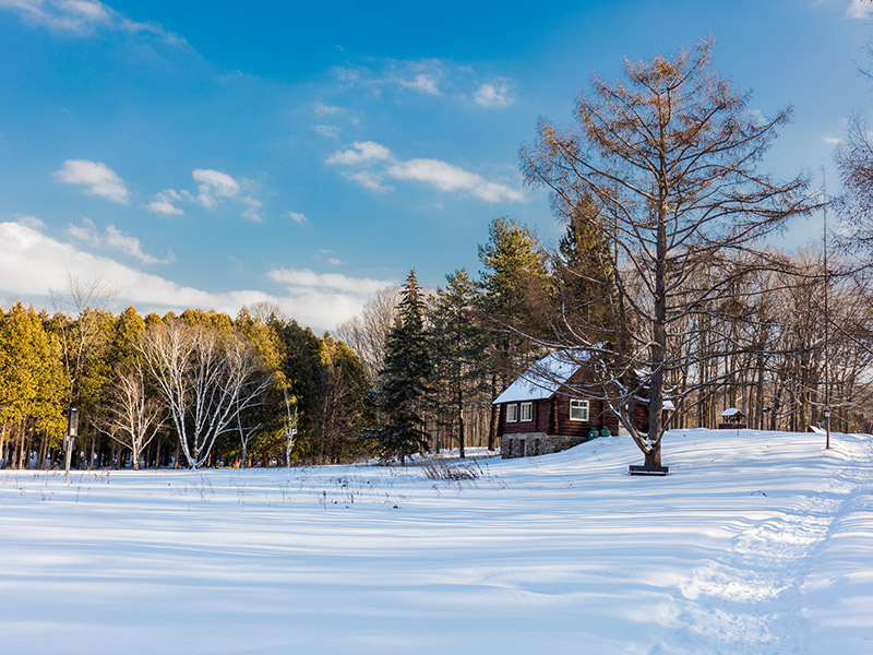 Quebec Voyage au Canada de Catherine C.