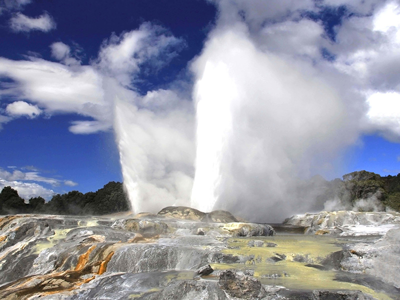 Rotorua Geyser Voyage en Nouvelle-Zélande de Rose et Raymond R.