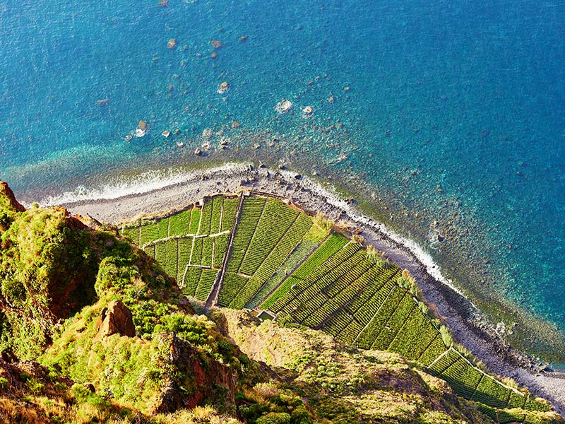Cabo Girao Voyage à Madère de Dominique L.