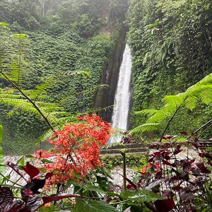 Voyage en Indonésie de Johanne G.