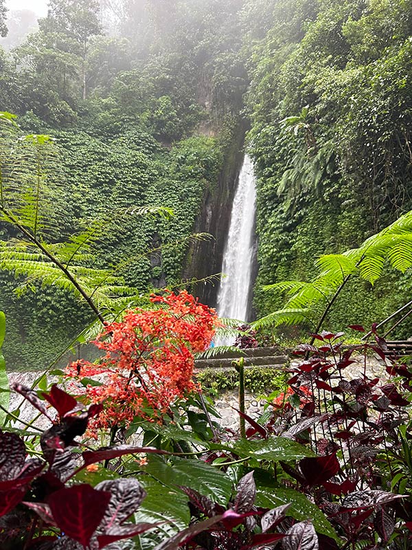 Voyage en Indonésie de Johanne G.