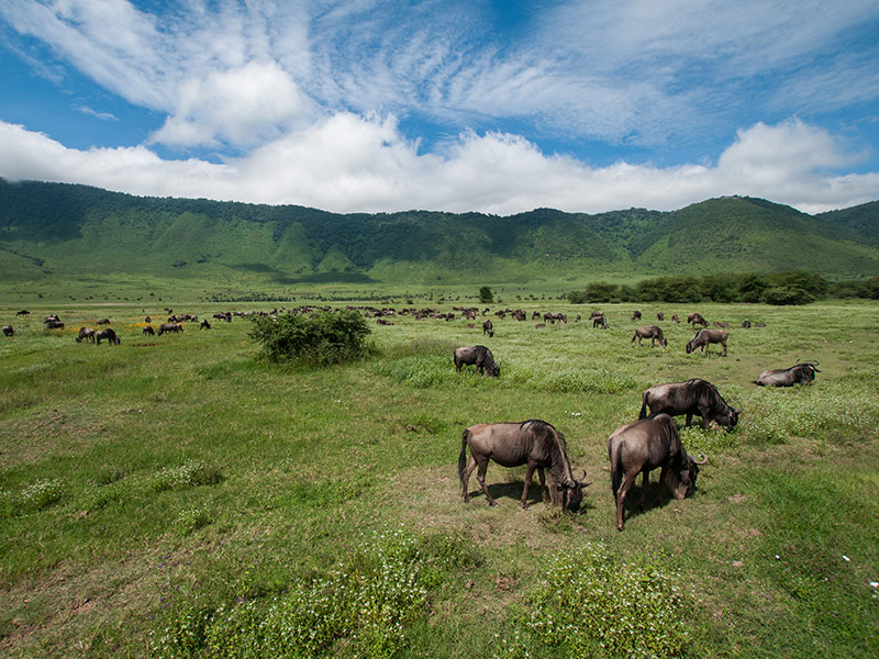 Voyage en Tanzanie du Nord du groupe de Martine B.