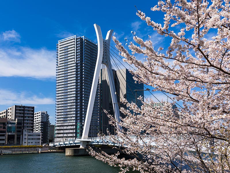 Tokyo - Shinkawa Voyage au Japon de François C.