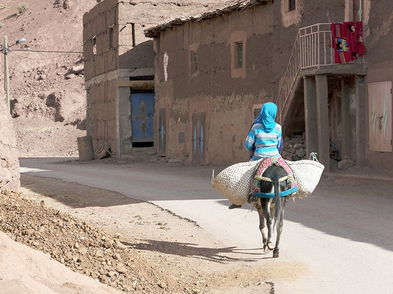 Voyage au Maroc de Sony T.