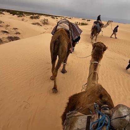 Voyage En Tunisie De Grégory Voyage en Tunisie de Grégory P.