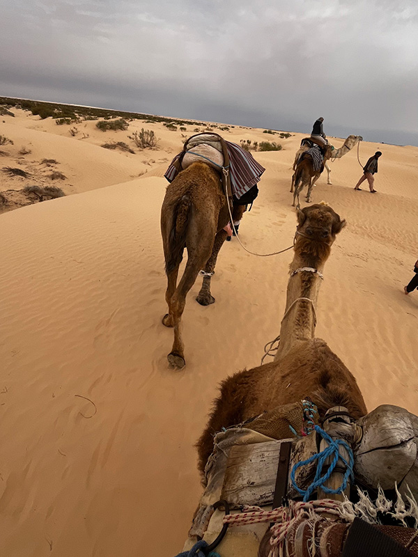 Voyage en Tunisie de Grégory Voyage en Tunisie de Grégory P.