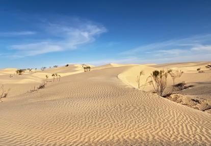 Voyage en Tunisie de Grégory P.