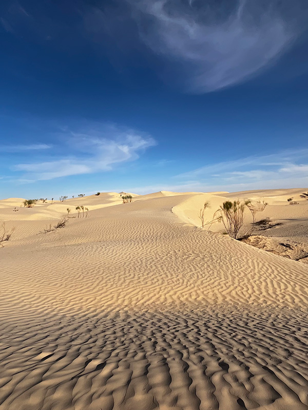 Voyage en Tunisie de Grégory Voyage en Tunisie de Grégory P.