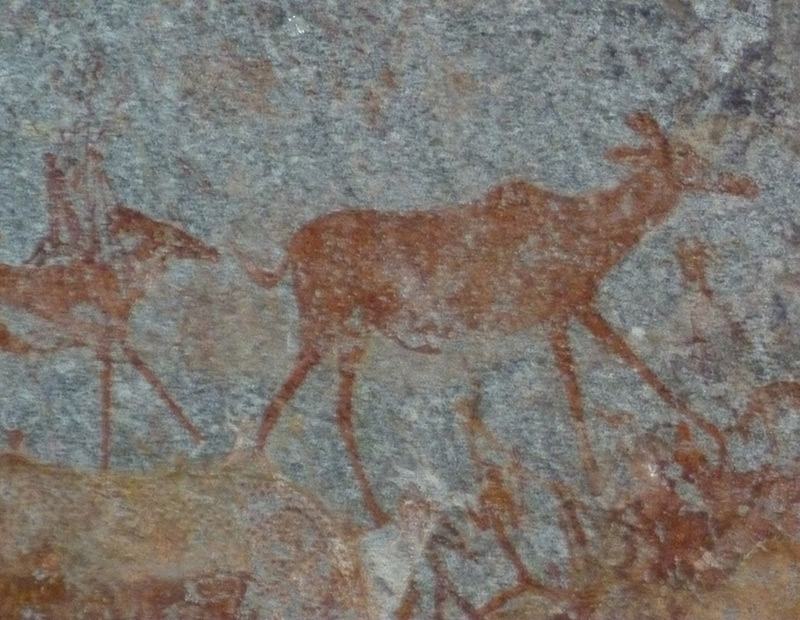 Voyage au Zimbabwe de Jean-Luc D.