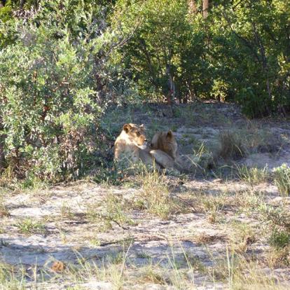 Voyage au Zimbabwe de Jean-Luc D.