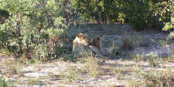 Voyage au Zimbabwe de Jean-Luc D.