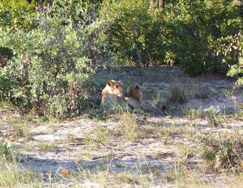 Voyage au Zimbabwe de Jean-Luc D.